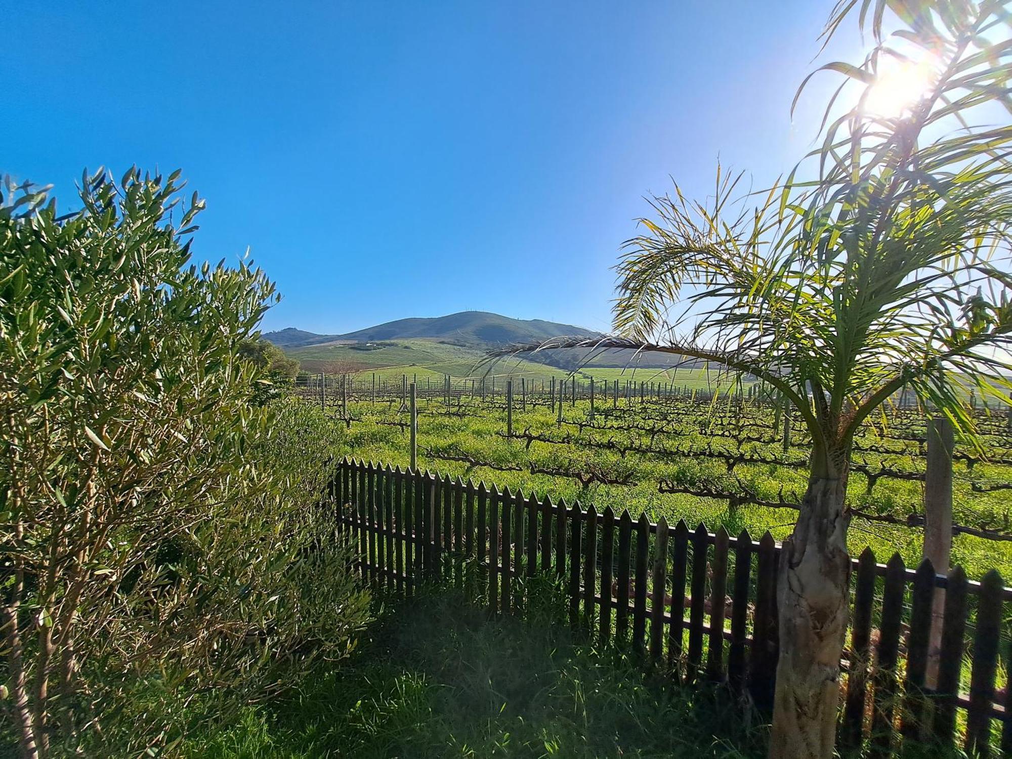Domaine Coutelier Apartment Stellenbosch Cameră foto