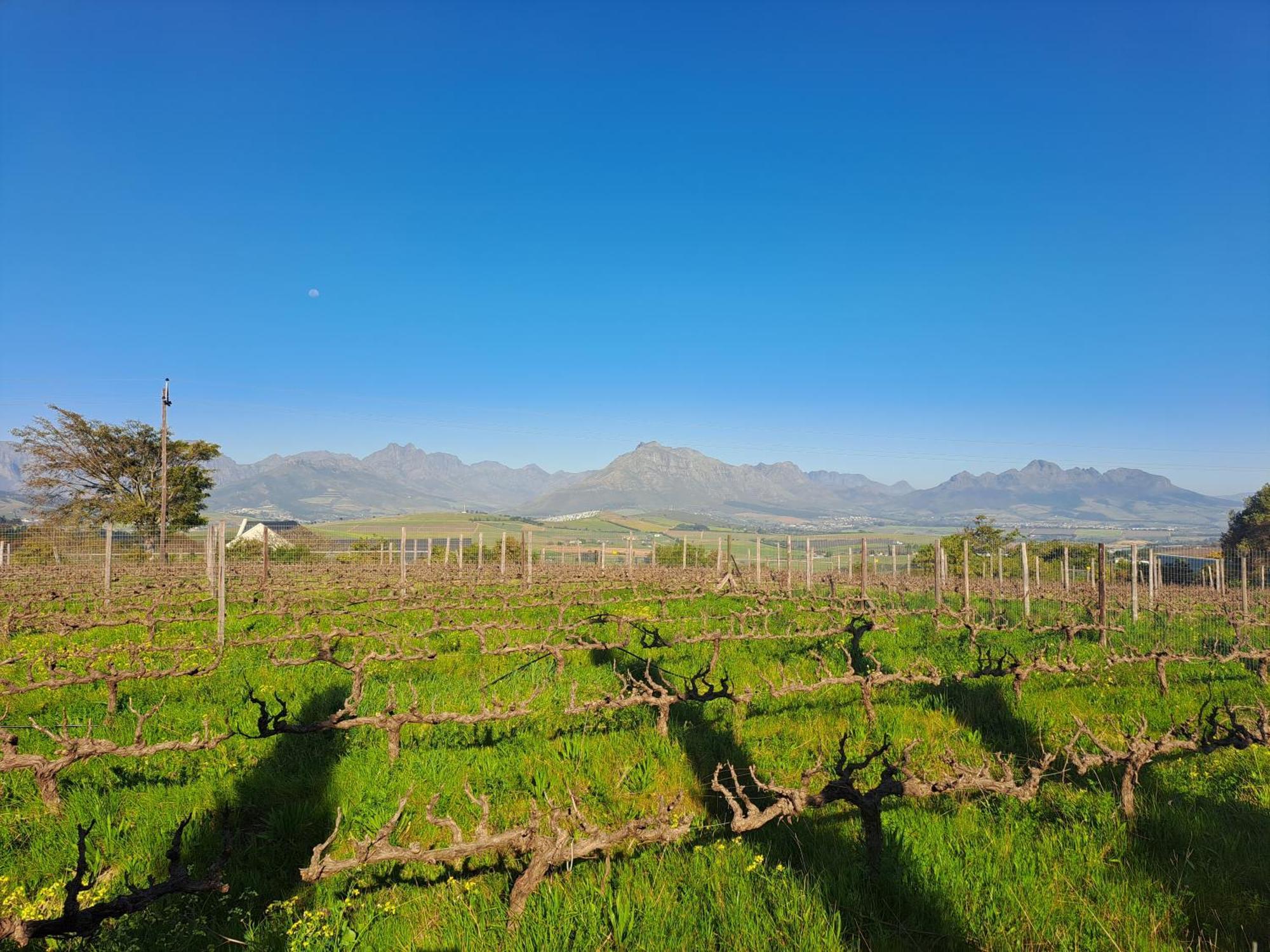 Domaine Coutelier Apartment Stellenbosch Cameră foto